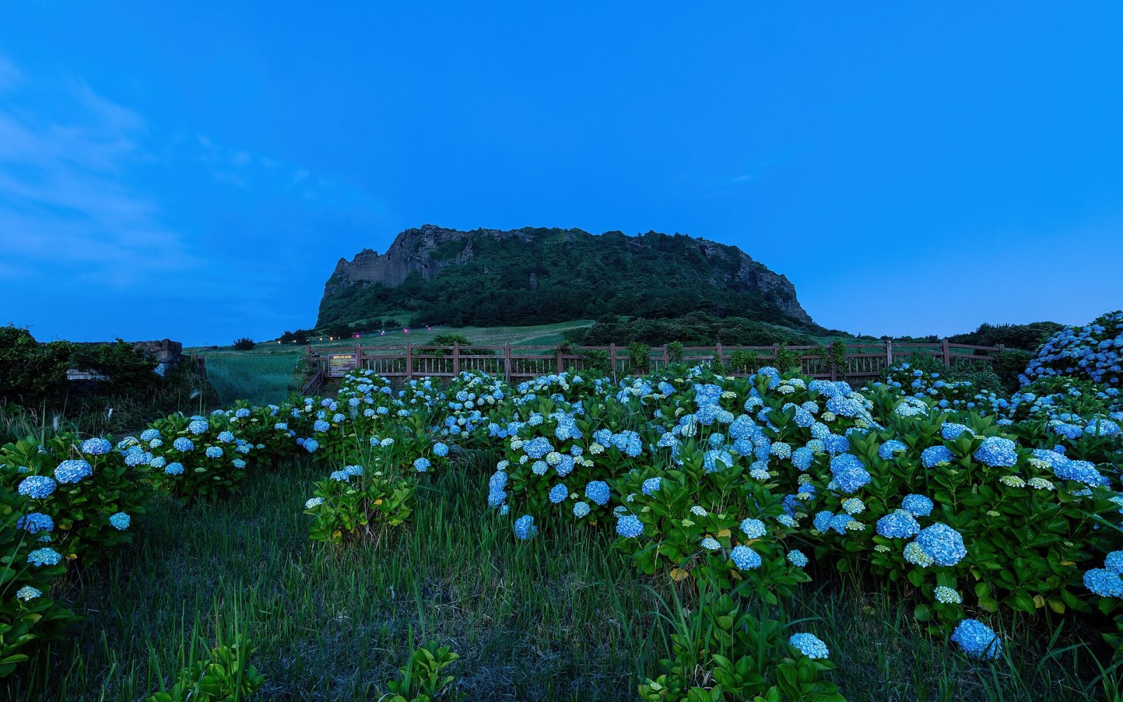 Jeju Island: Un Paradiso Naturale da Scoprire - Cheju | Secret World Trip Planner