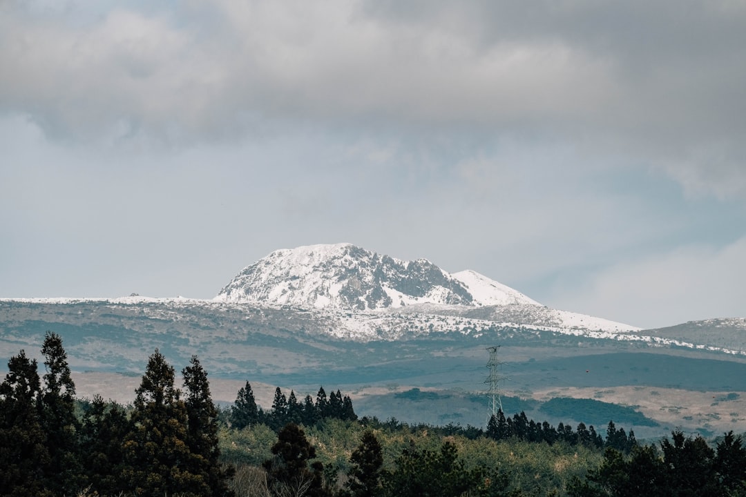 Discover Hallasan: The Iconic Mountain of Jeju - Hallasan | Secret World Trip Planner