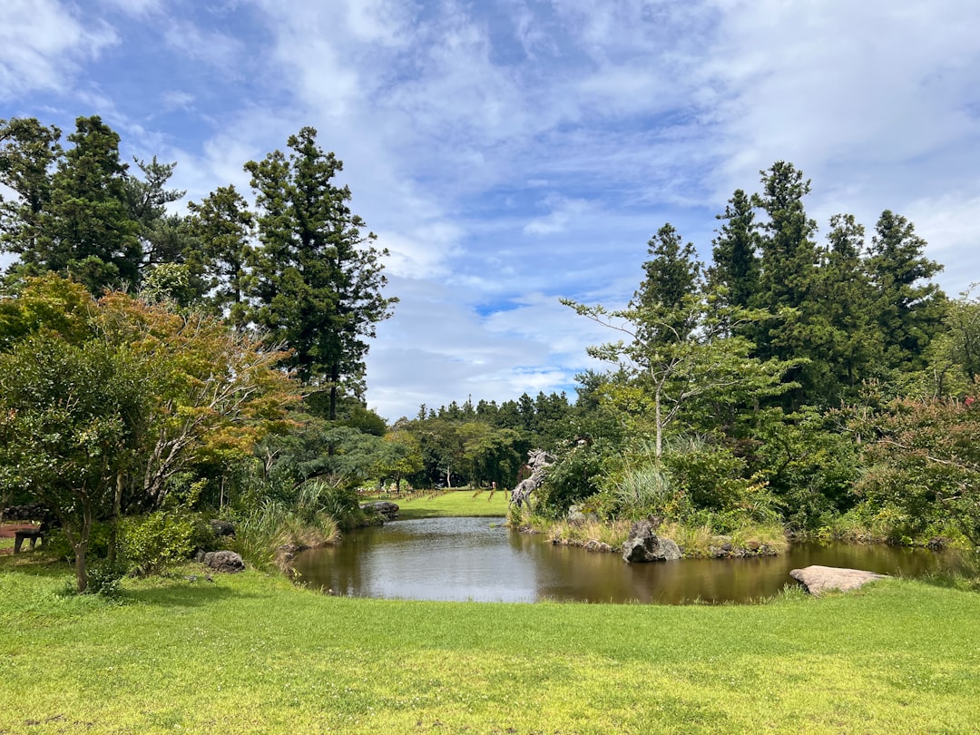 Jeju Island: A Natural Paradise to Discover - Cheju | Secret World Trip Planner