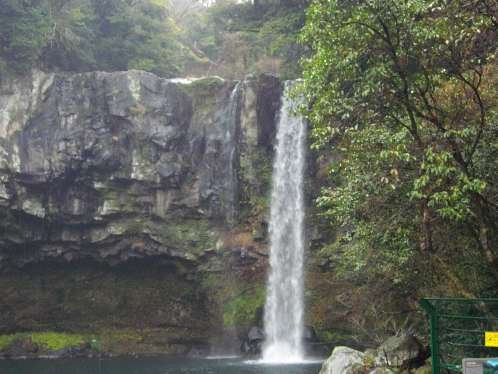 Discover the Wonder of Cheonjiyeon Waterfall in Jeju - Seogwipo | Secret World Trip Planner
