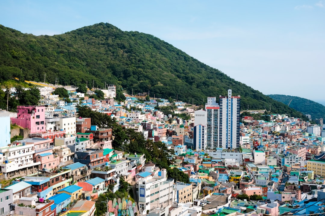 Discover the Gamcheon Culture Village in Busan - Saha-gu | Secret World Trip Planner