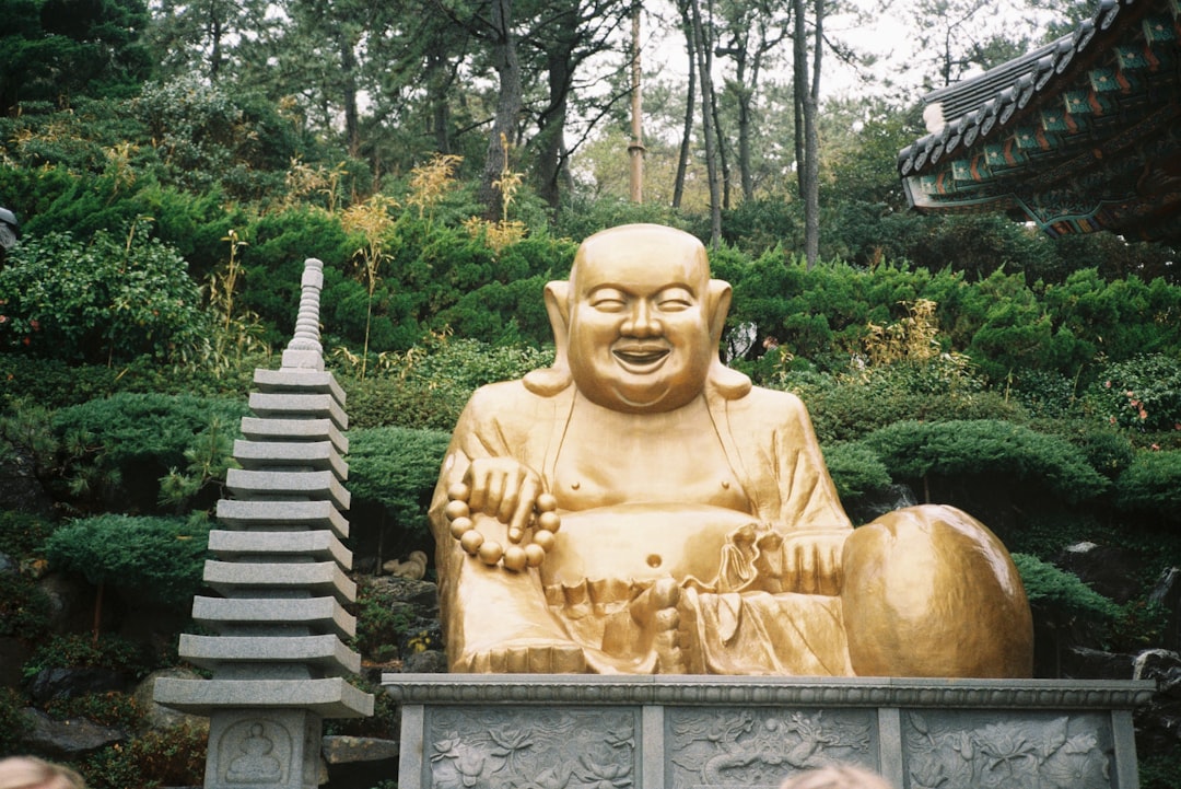 Visite au Cimetière Mémorial de l'ONU à Busan - Nam-gu | Secret World Trip Planner