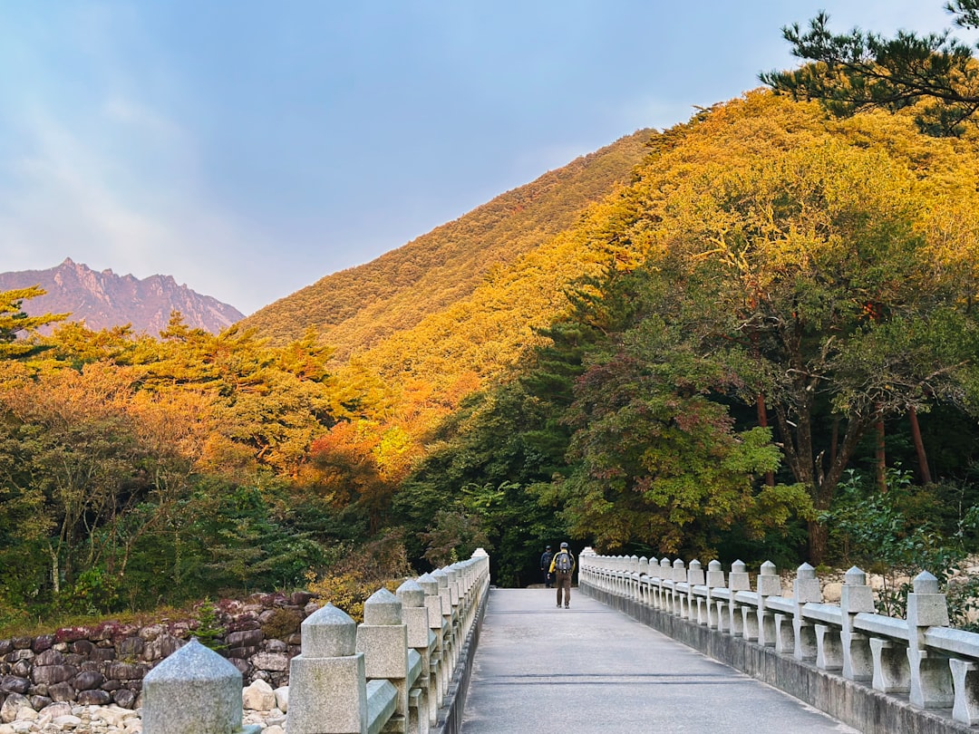 Parc national de Seoraksan : un paradis naturel en Corée du Sud - 강원 속초시 설악동 | Secret World Trip Planner