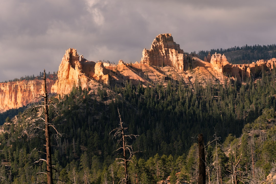 Chimney Tops Trail: Un'Avventura nella Natura del Tennessee | Secret World Trip Planner