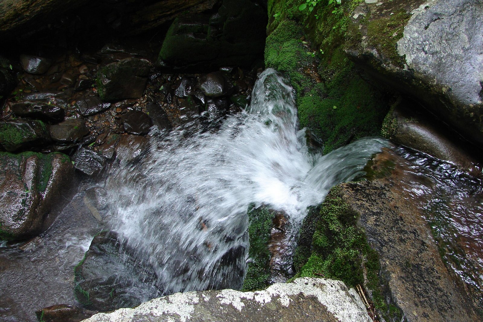 Découvrez la magie du parc national des Great Smoky Mountains | Secret World Trip Planner