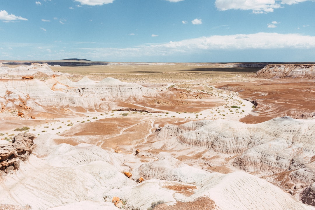 Descubra o Parque Nacional da Floresta Petrificada no Arizona - Weinan | Secret World Trip Planner