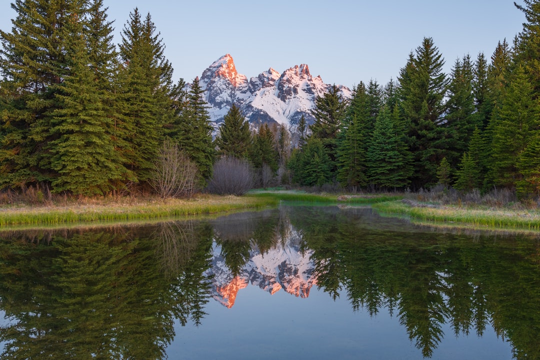 Discover Grand Teton National Park: A Natural Gem