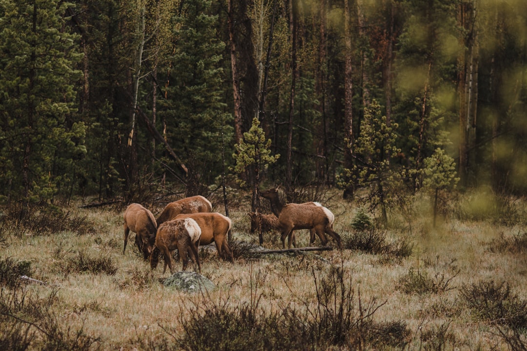 Discover Grand Teton National Park: A Natural Gem | Secret World Trip Planner