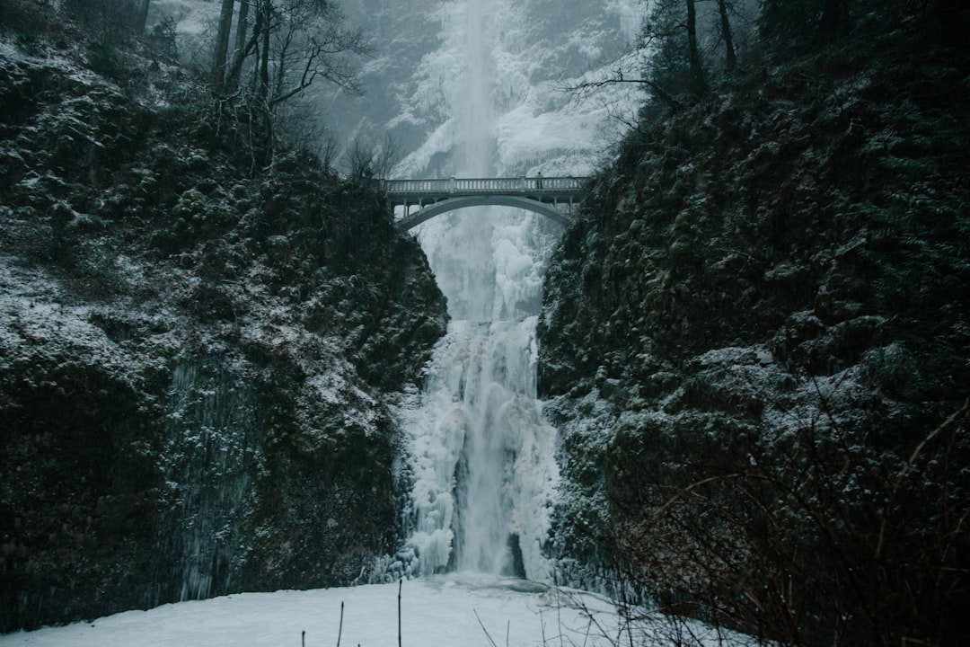 Scopri la Columbia River Gorge: Natura e Avventura ad Hood River - Hinggan League | Secret World Trip Planner
