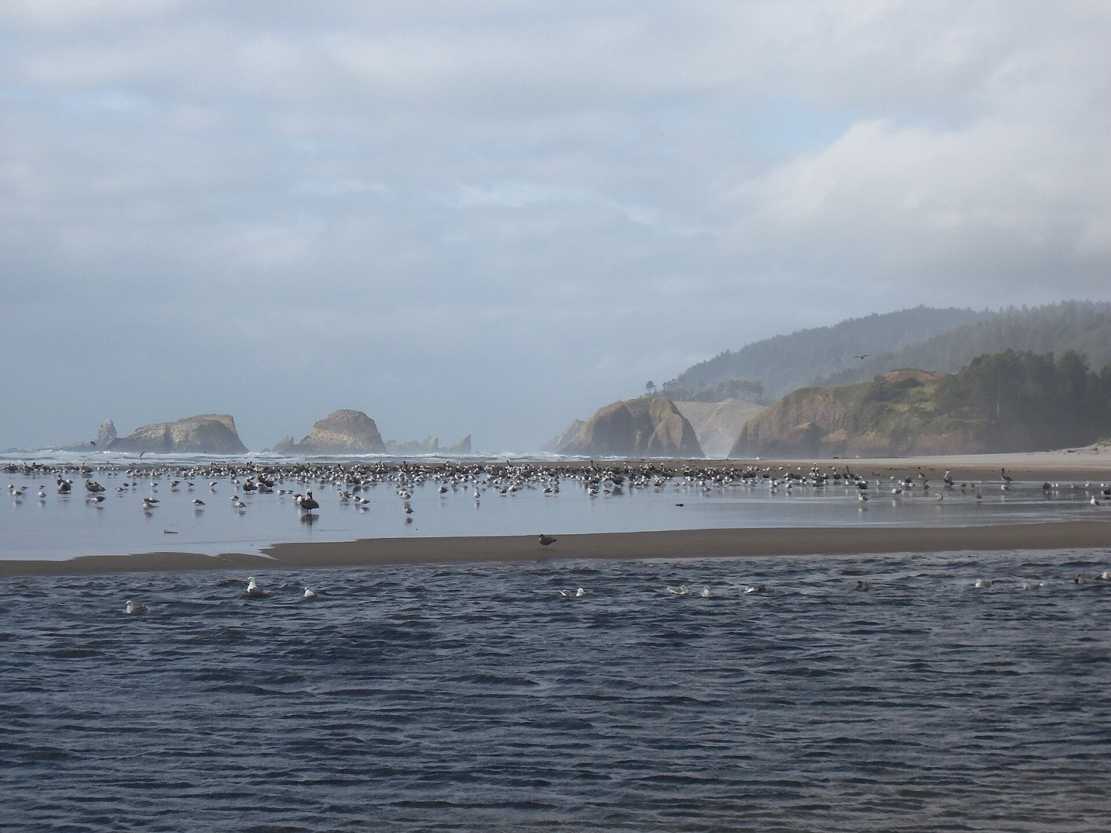 Cannon Beach: Un angolo di paradiso nella natura dell'Oregon | Secret World Trip Planner