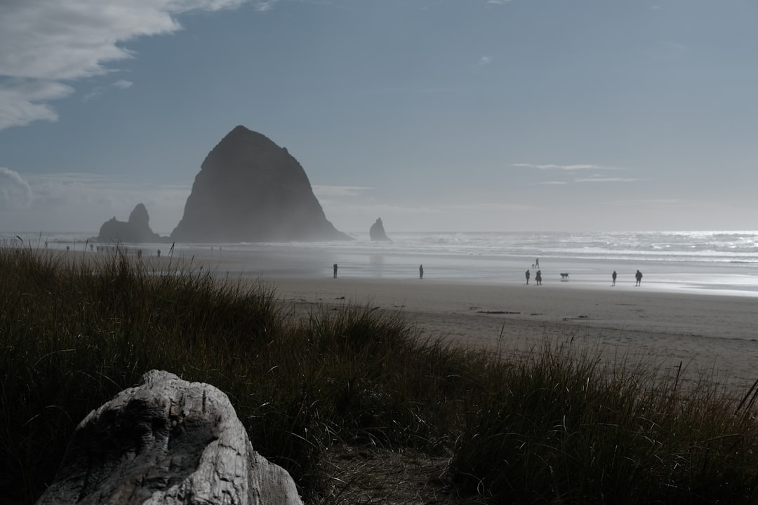 Cannon Beach: A Slice of Paradise in Oregon's Nature | Secret World Trip Planner