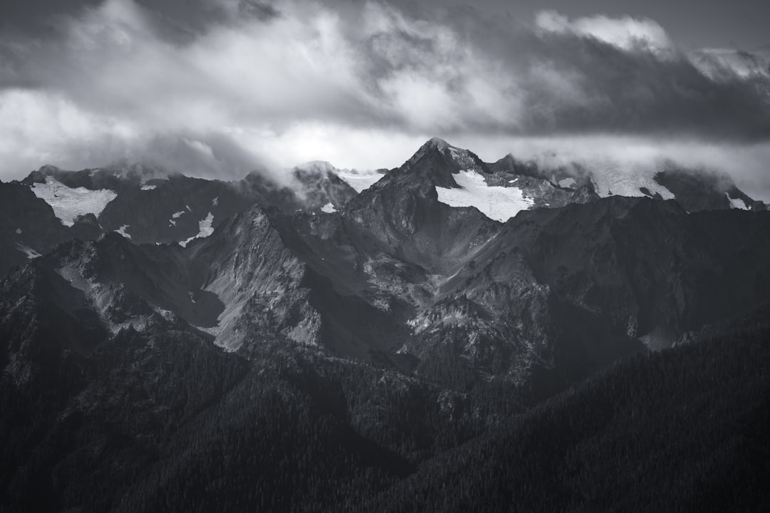 Discover Olympic National Park: A Natural Paradise in Washington - Qiqihar | Secret World Trip Planner
