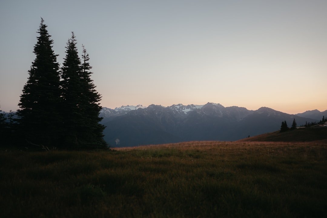 Discover Olympic National Park: A Natural Paradise in Washington - Qiqihar | Secret World Trip Planner