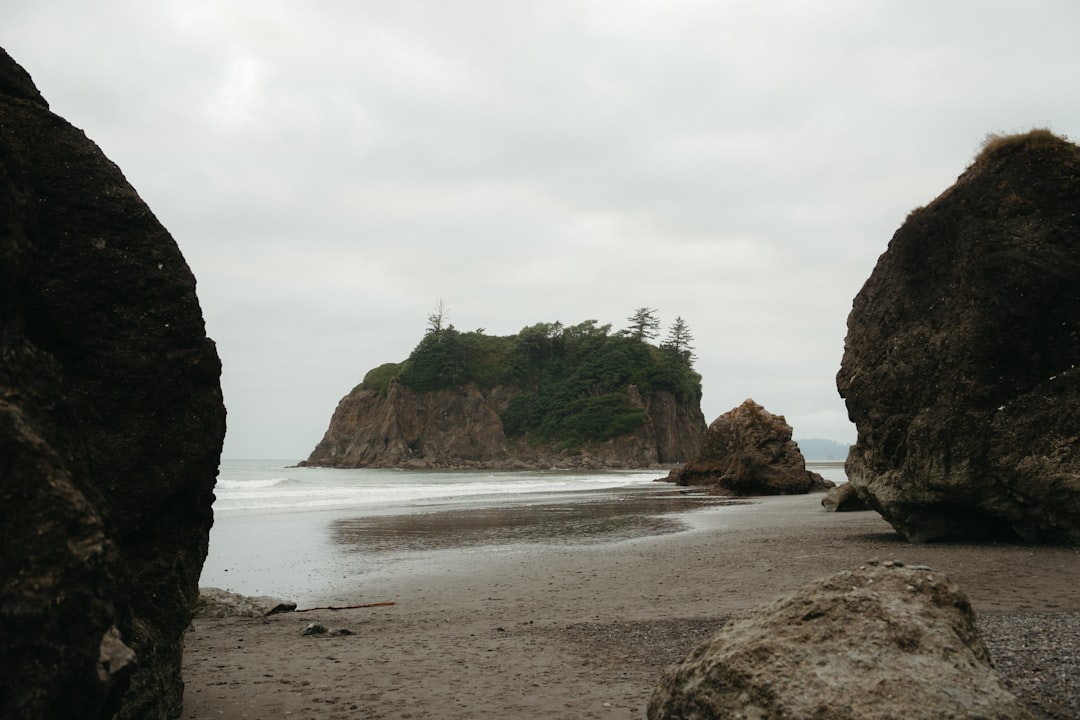 Découvrez le parc national Olympic : un paradis naturel à Washington - Qiqihar | Secret World Trip Planner