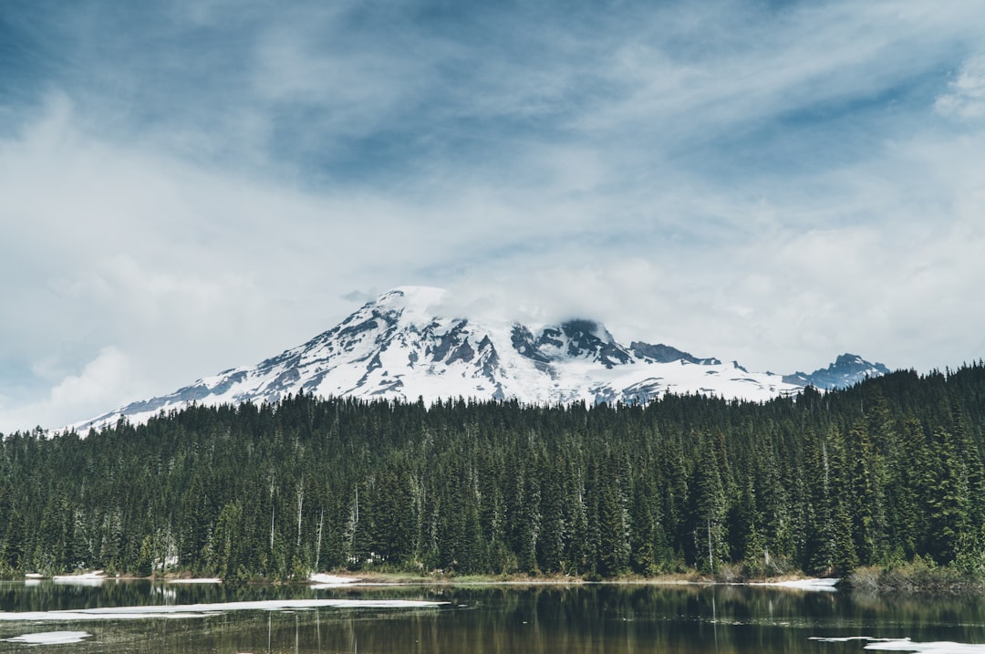 Discover the Breathtaking Beauty of Mount Rainier National Park | Secret World Trip Planner