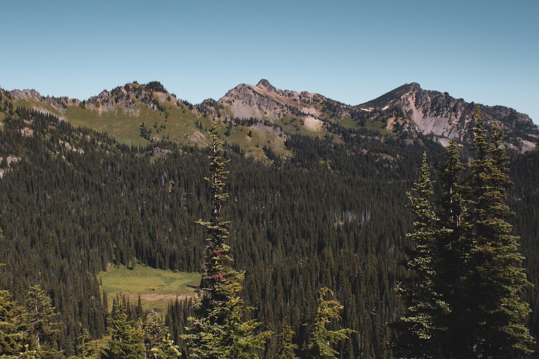 Discover the Breathtaking Beauty of Mount Rainier National Park | Secret World Trip Planner