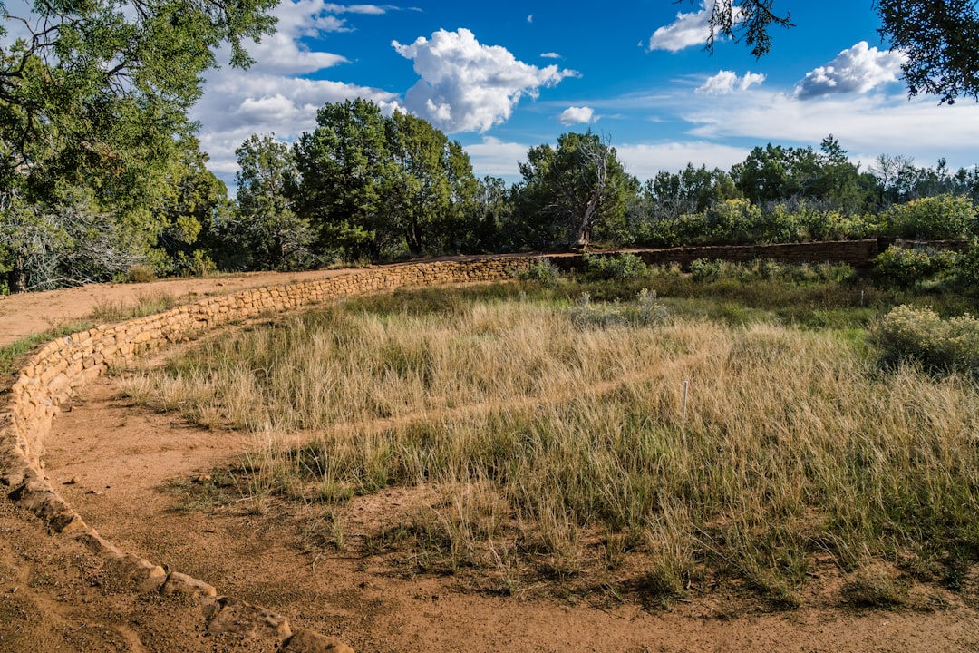 Esplorando Mesa Verde National Park: un viaggio nella storia - Yulin | Secret World Trip Planner