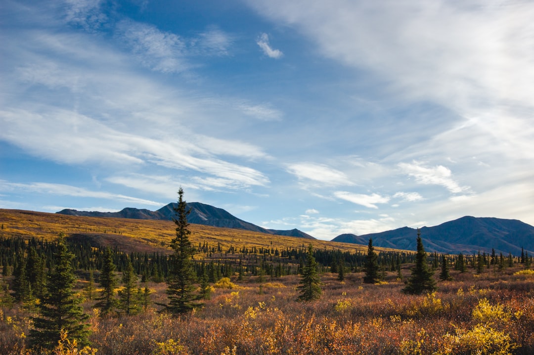 Entdecken Sie die wilde Schönheit des Denali Nationalparks | Secret World Trip Planner