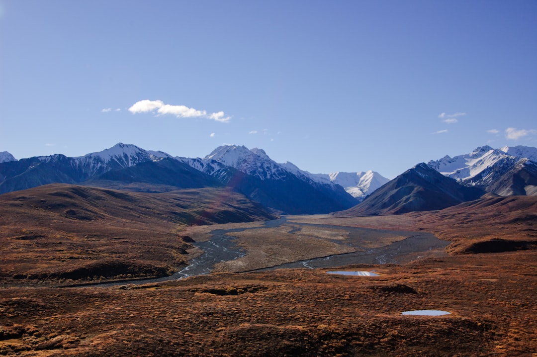 Explorez la beauté sauvage du parc national de Denali | Secret World Trip Planner