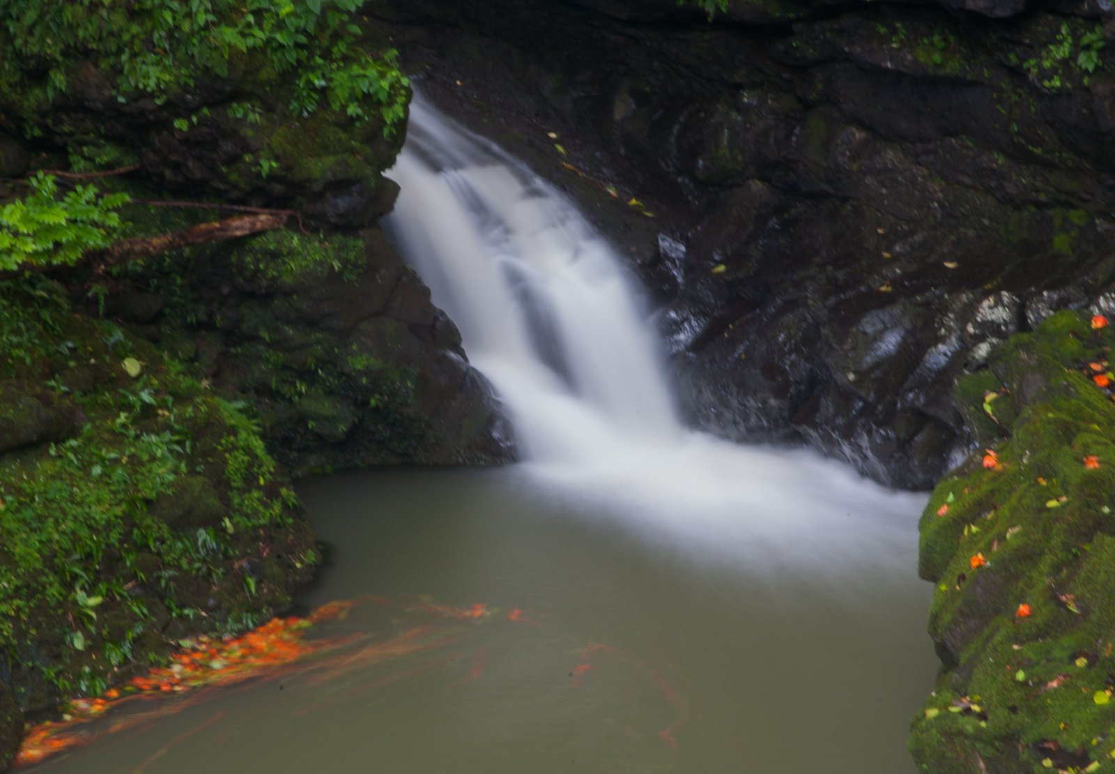 Entdecken Sie die Magie der Road to Hana: Unvergessliches Erlebnis auf Hawaii | Secret World Trip Planner