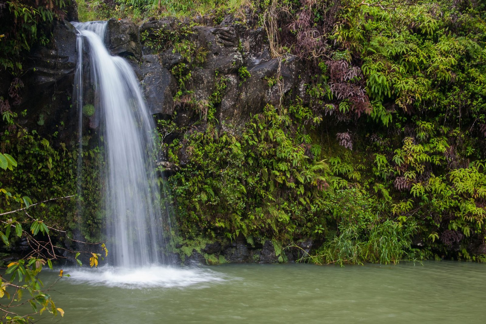 Découvrez la Magie de la Road to Hana : Une Expérience Inoubliable à Hawaï | Secret World Trip Planner