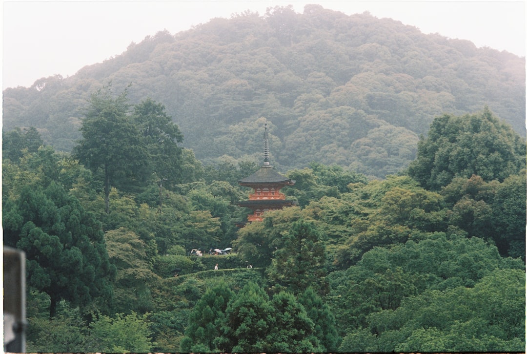 Karesansui: A Magia dos Jardins Zen de Quioto - Kyoto | Secret World Trip Planner