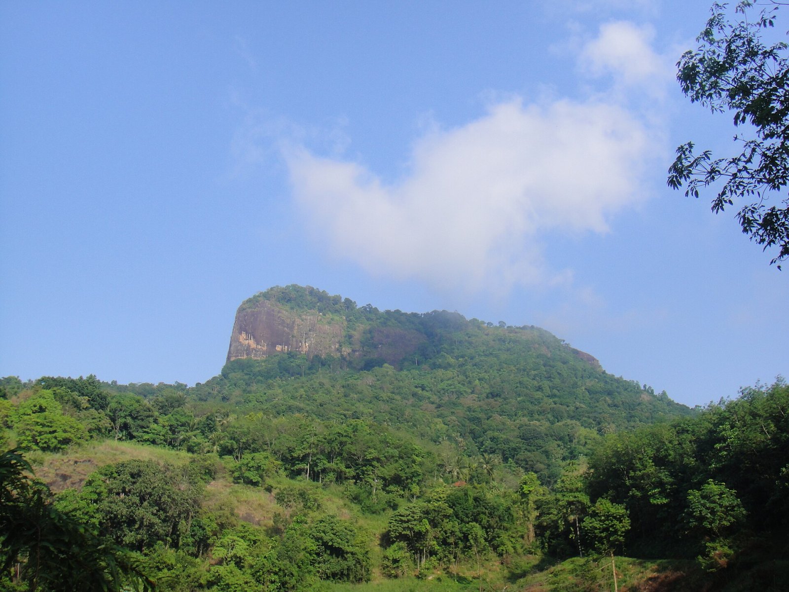 Scopri Bible Rock: la montagna che racconta storie in Sri Lanka — Ussapitiya