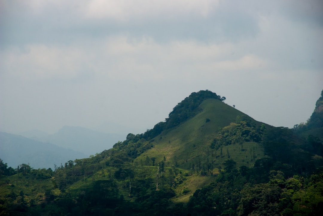 Single Tree Hill: a Natural Gem in Sri Lanka - Nuwara Eliya | Secret World Trip Planner
