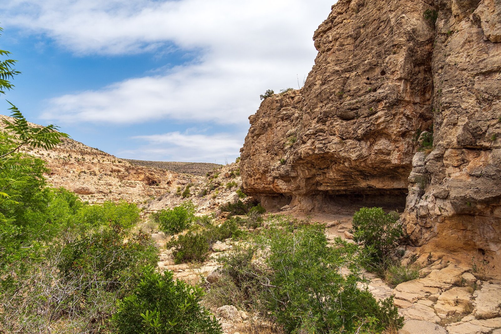 Scopri le Meraviglie delle Carlsbad Caverns nel New Mexico - Mianyang | Secret World Trip Planner