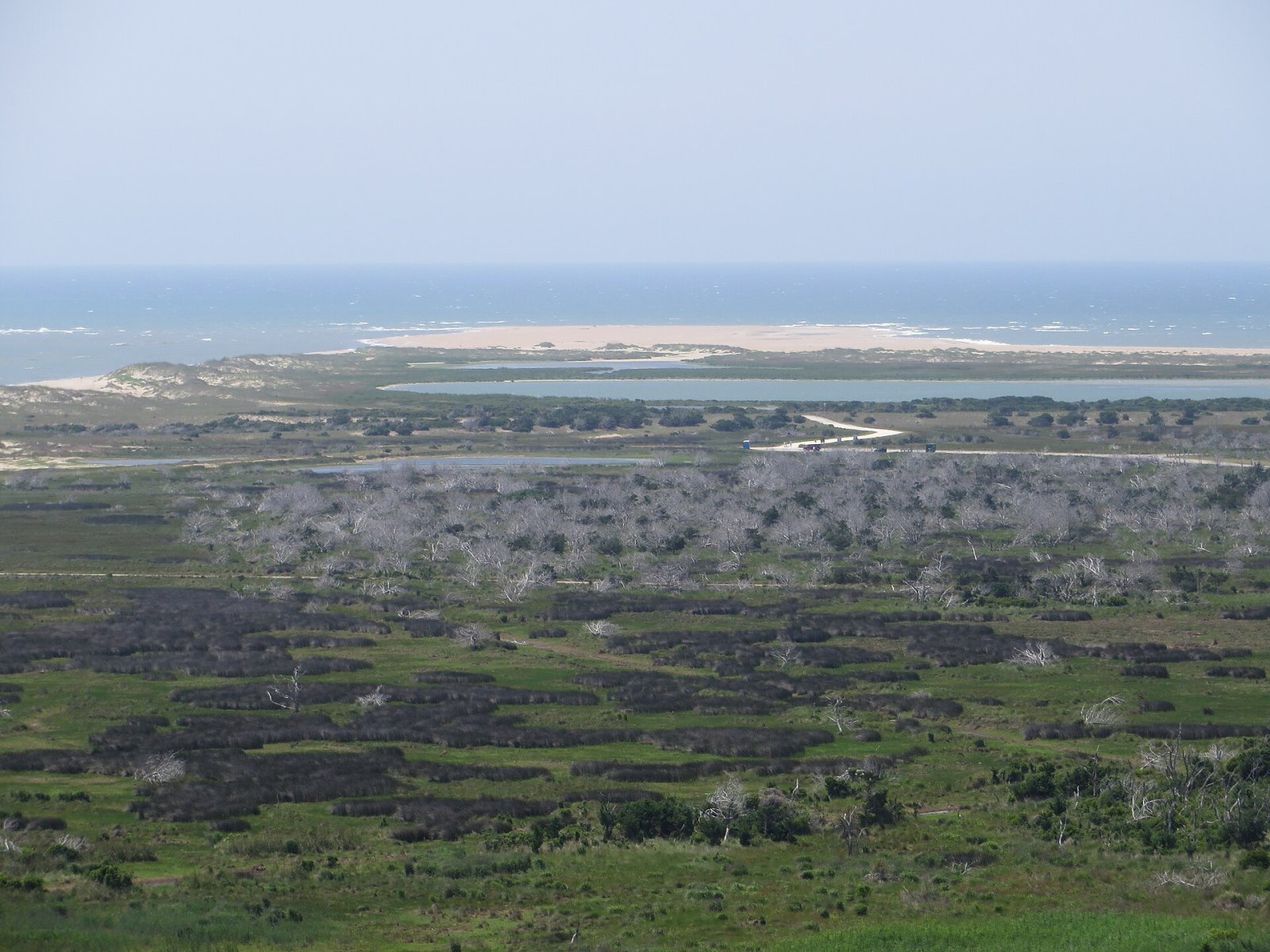 Entdecken Sie das Cape Hatteras National Seashore: ein Naturjuwel in North Carolina