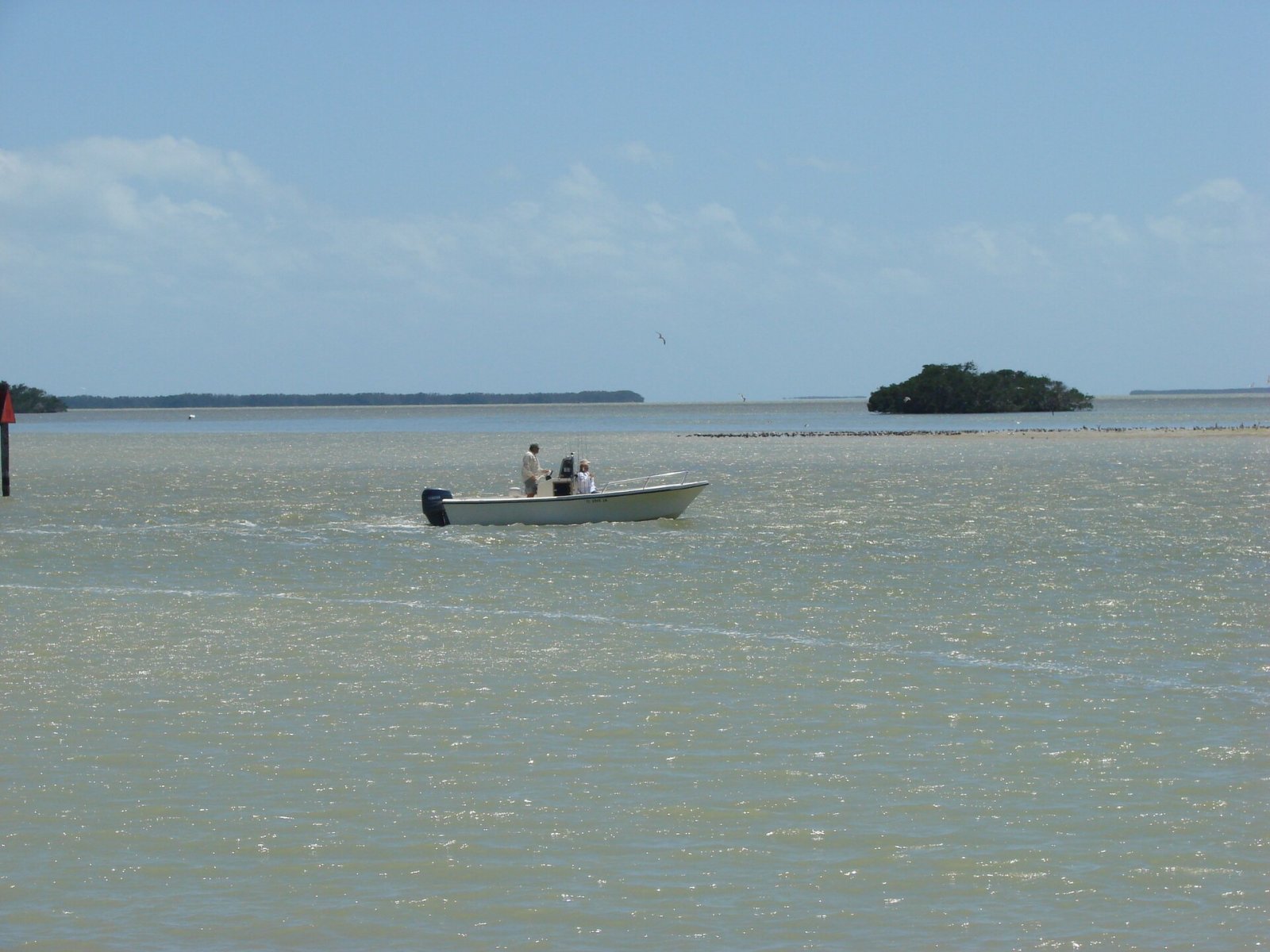 Scopri le meraviglie dell'Everglades National Park in Florida - Shitalpur Kaunhas | Secret World Trip Planner