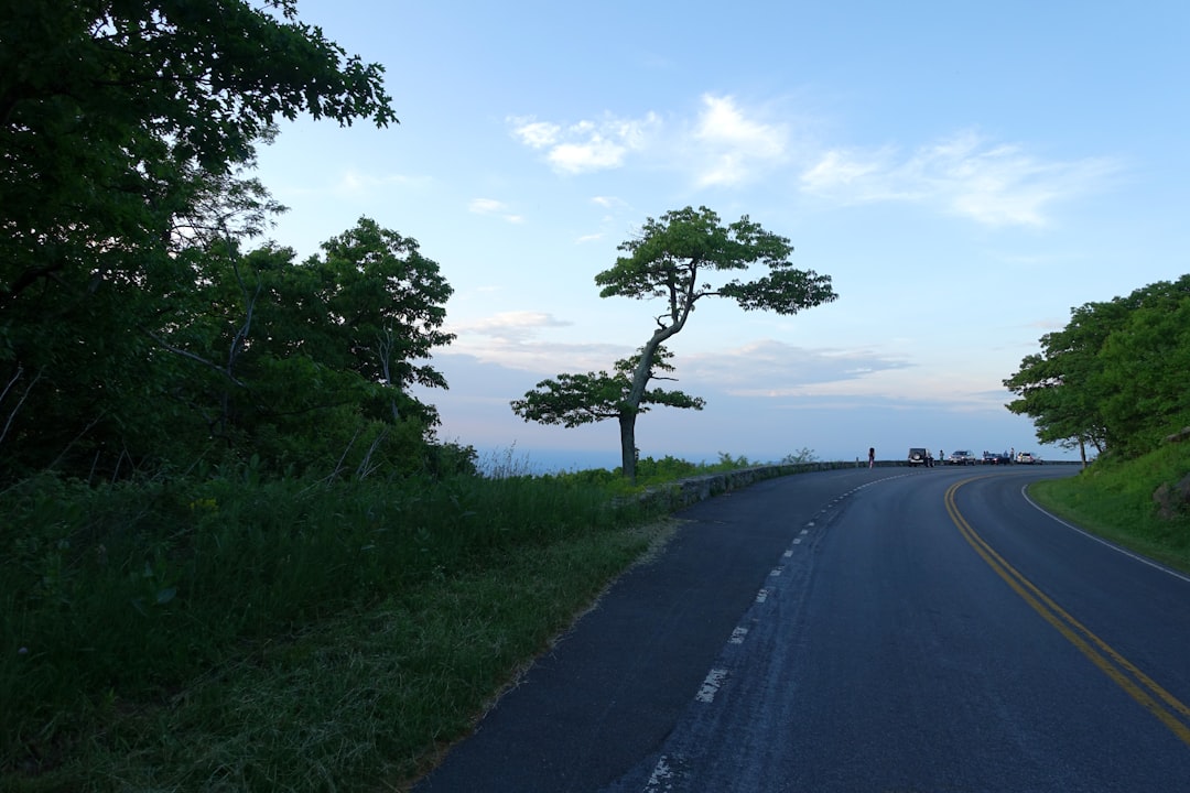 Discover the Beauty of Shenandoah National Park in Virginia | Secret World Trip Planner
