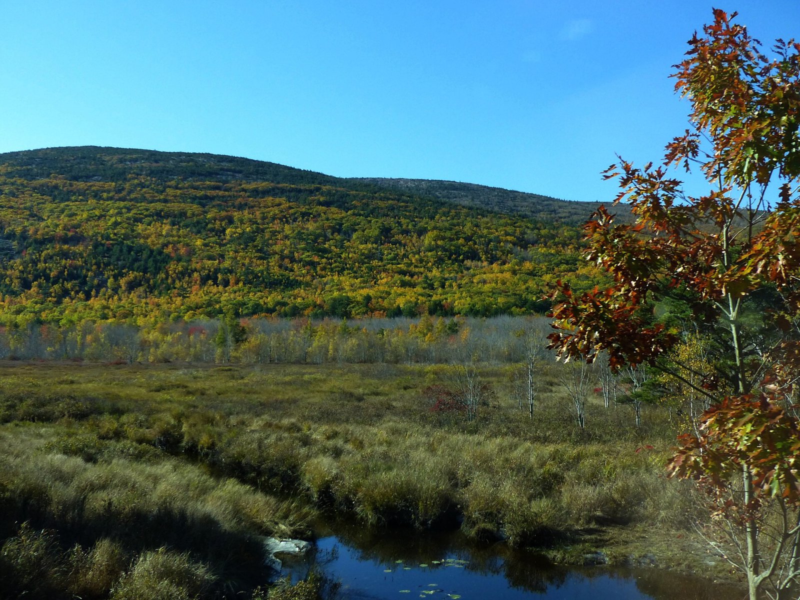 Découvrez la beauté naturelle du Parc National d'Acadia | Secret World Trip Planner