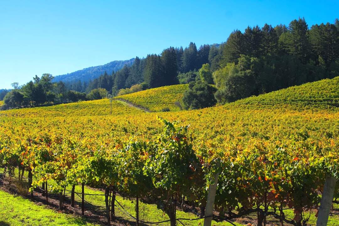 Discover the Finger Lakes Wine Trail in Watkins Glen, New York | Secret World Trip Planner