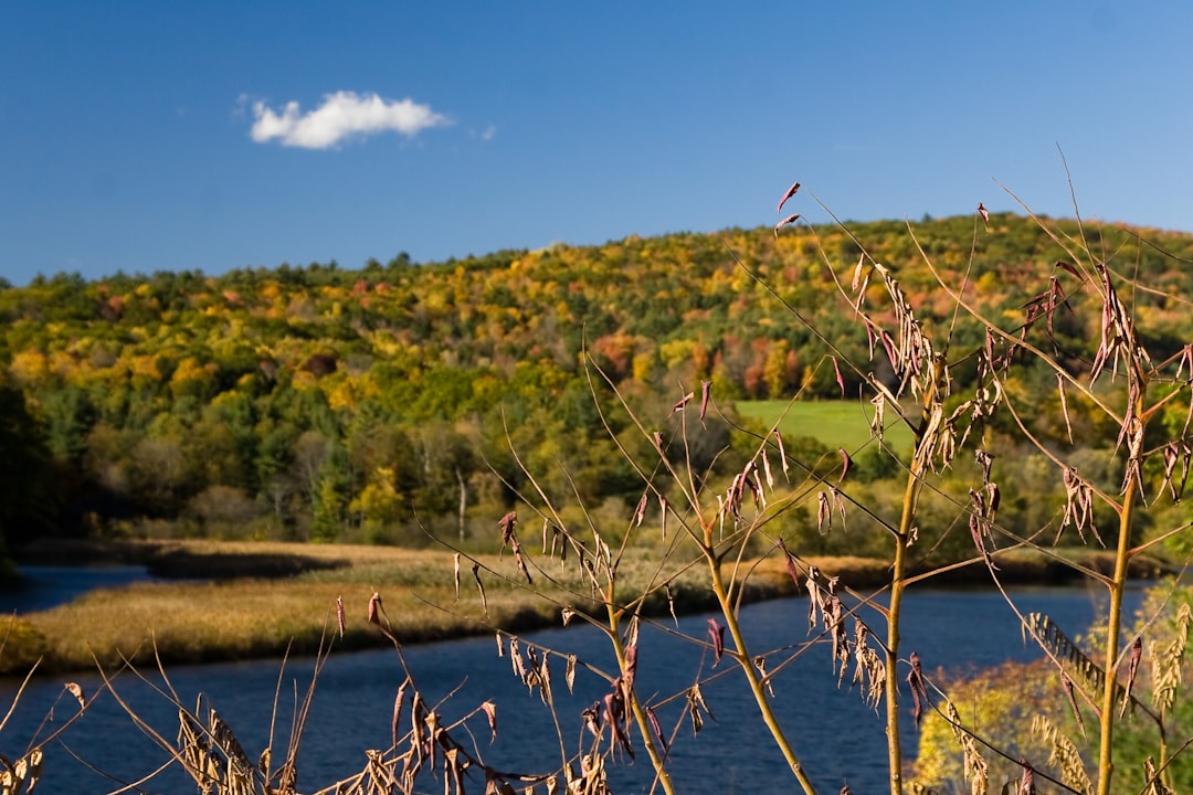 Discover the Finger Lakes Wine Trail in Watkins Glen, New York | Secret World Trip Planner