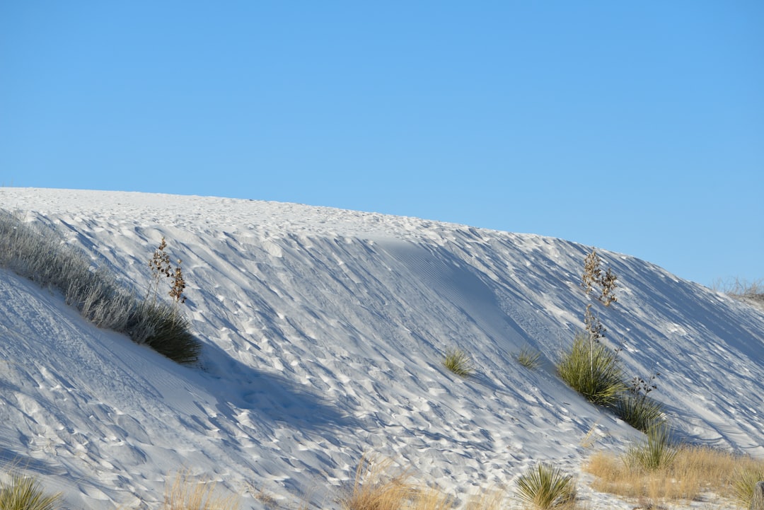 Esplora le Meraviglie Naturali delle Sleeping Bear Dunes | Secret World Trip Planner