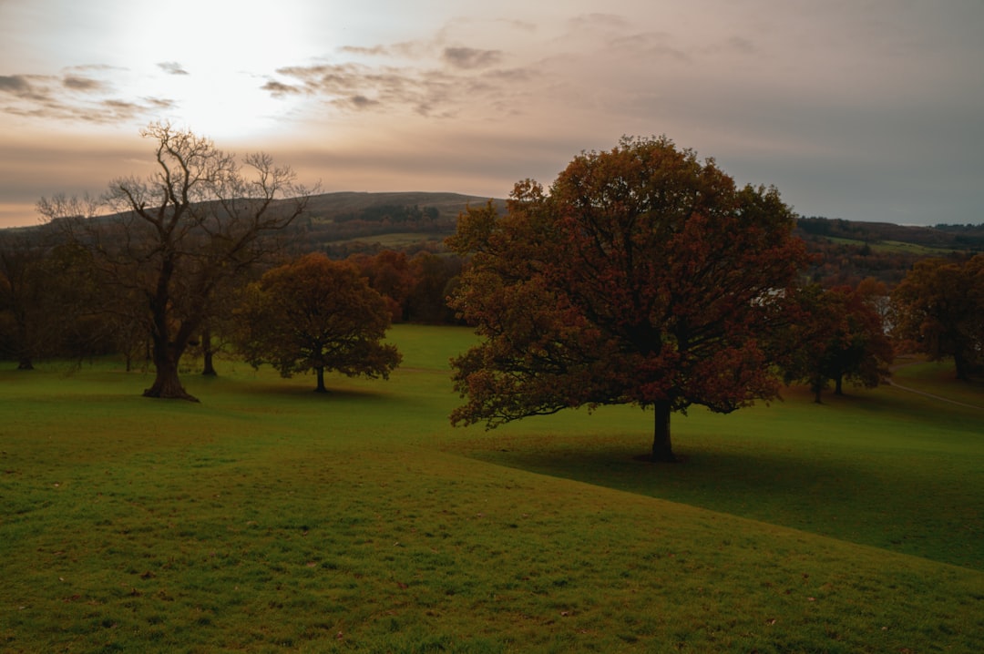 Discover Loch Lomond: Scotland's Gem