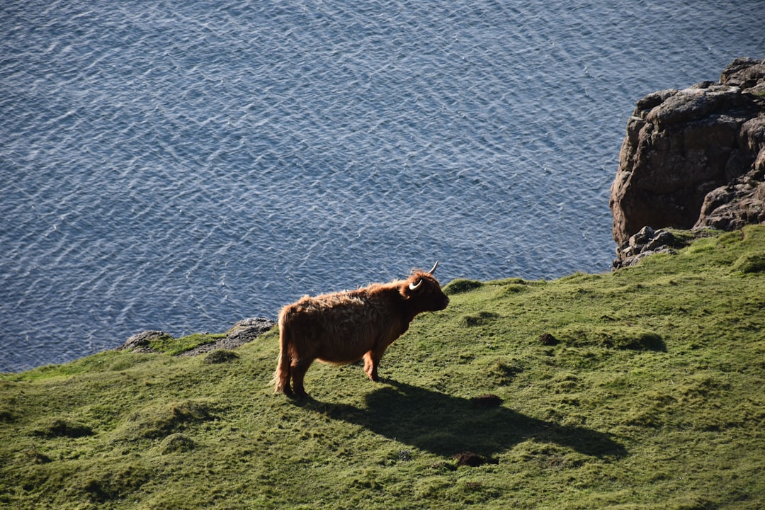 Isle of Mull: A Natural Paradise in Western Scotland