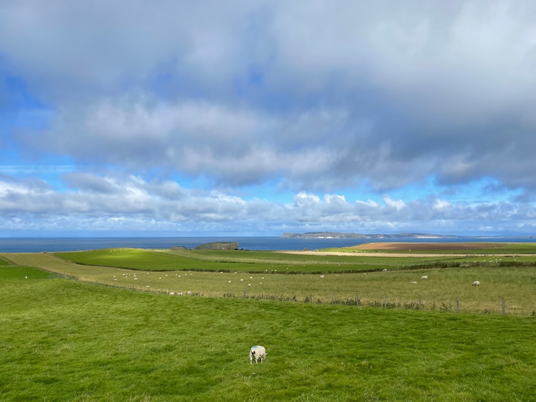 Scopri la Causeway Coast: un gioiello naturale in Irlanda del Nord | Secret World Trip Planner