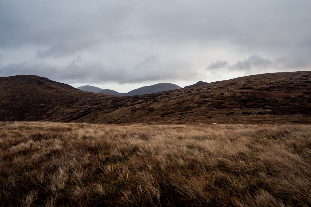Scopri le Maestose Mourne Mountains: Natura e Avventura in Irlanda del Nord | Secret World Trip Planner