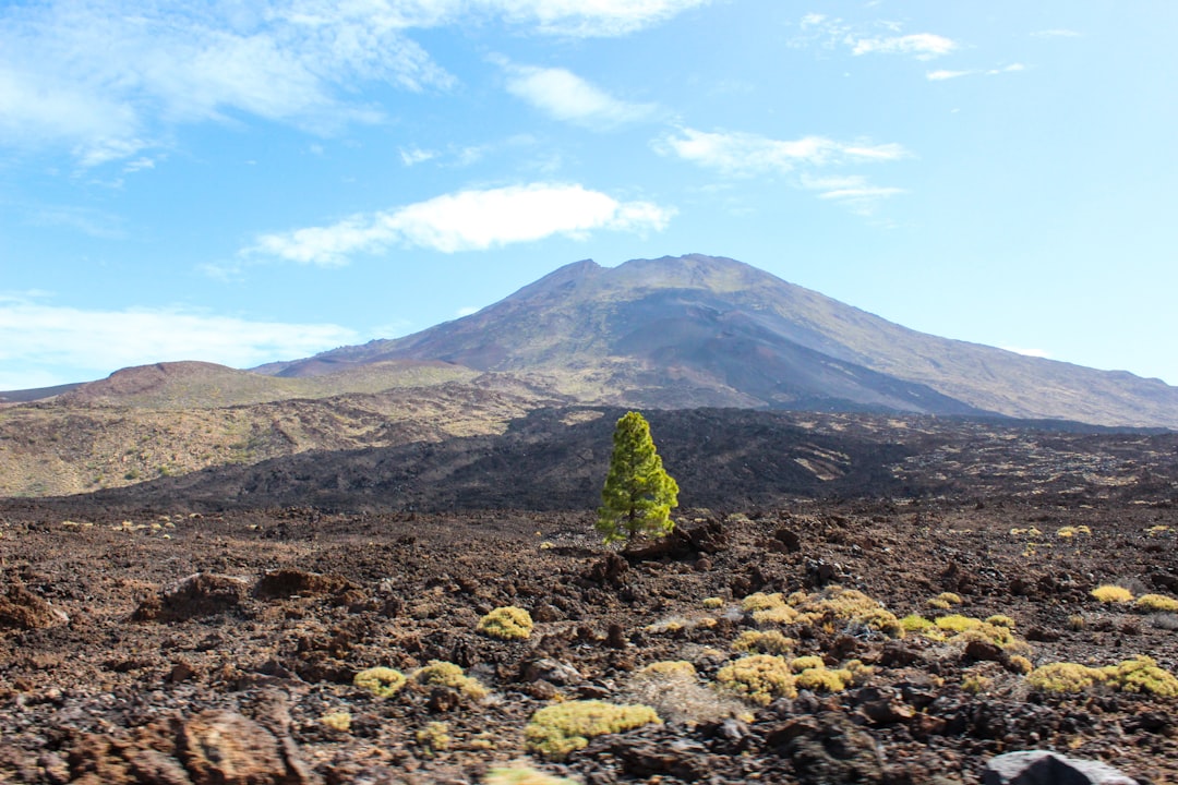 Scopri il Parco Nazionale del Teide: un gioiello naturale delle Canarie | Secret World Trip Planner