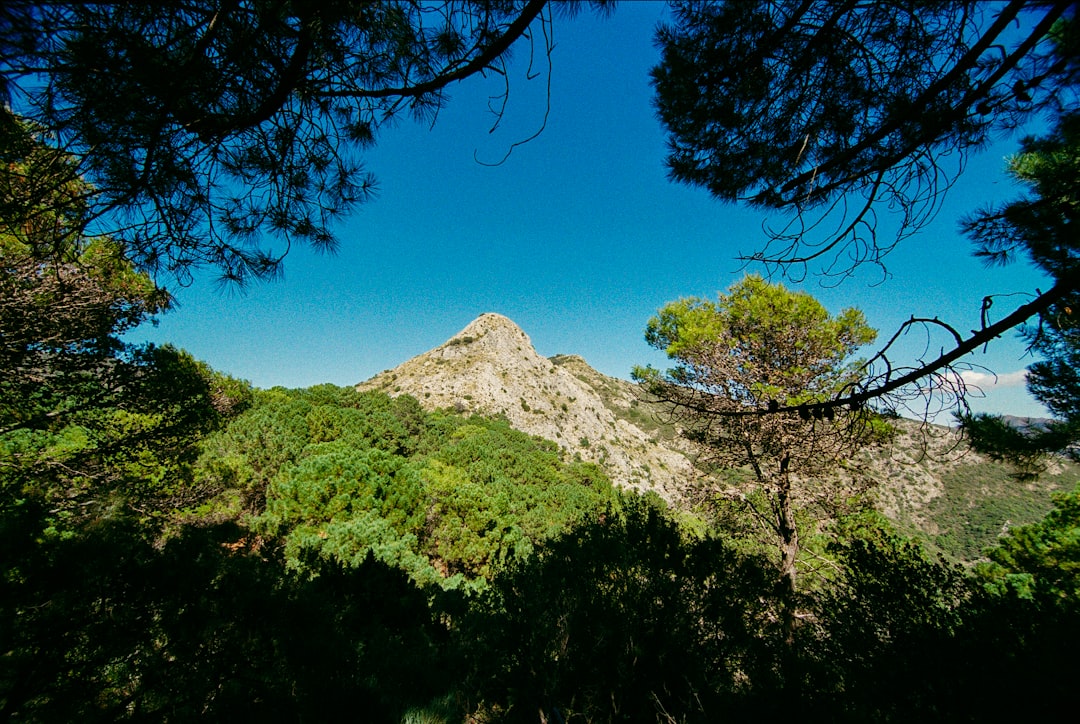 Discover Garajonay National Park in La Gomera | Secret World Trip Planner