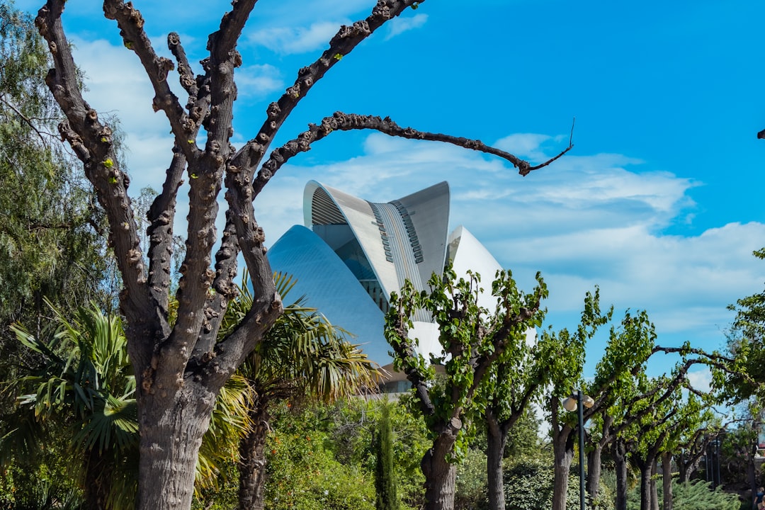 Scopri la Città delle Arti e delle Scienze di Valencia