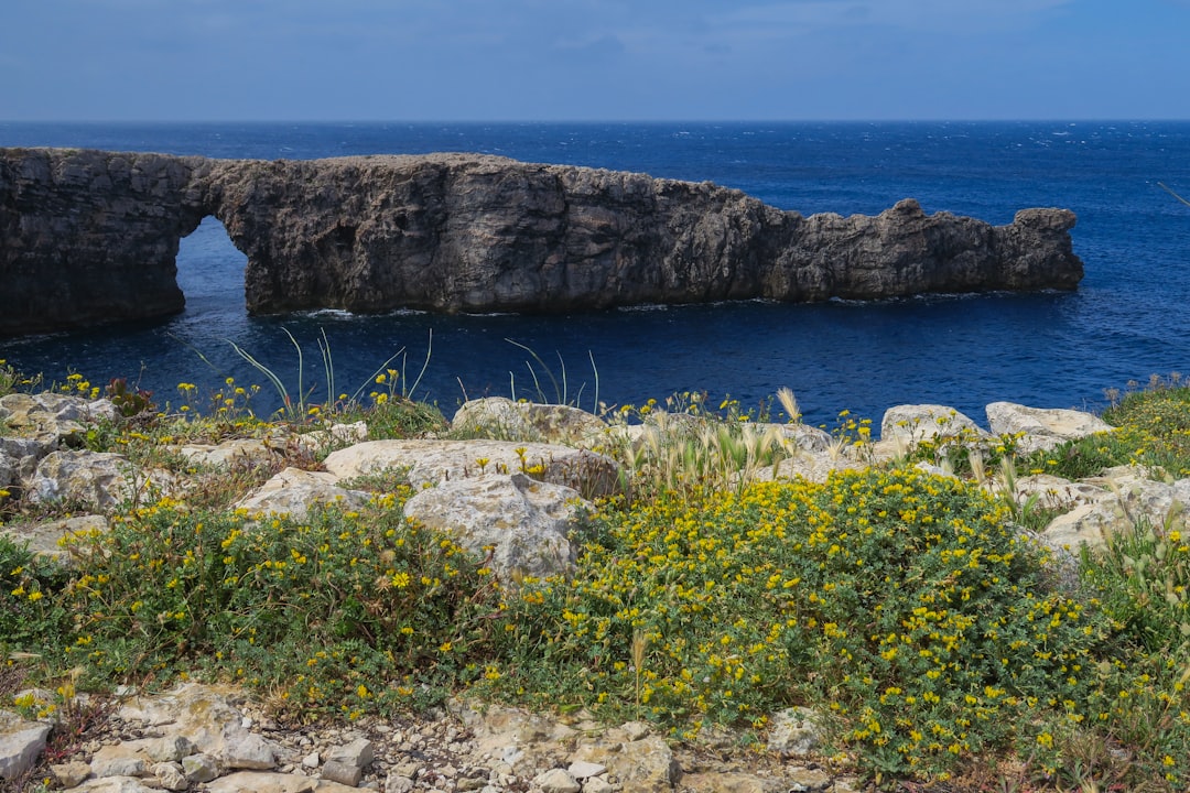 Explore the Prehistoric Sites of Menorca: A Journey Through Time - Maó | Secret World Trip Planner