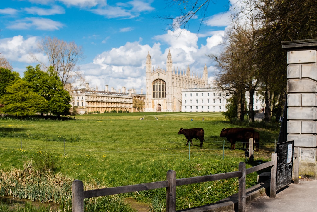 Descubre Cambridge Backs: un rincón de naturaleza y cultura - 6427+XV Cambridge | Secret World Trip Planner