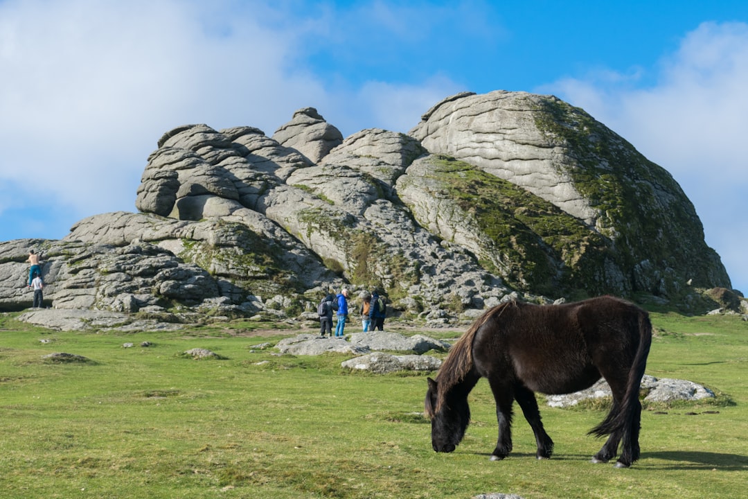 Scopri il fascino del Dartmoor National Park in Inghilterra - HX28+2M Lens | Secret World Trip Planner