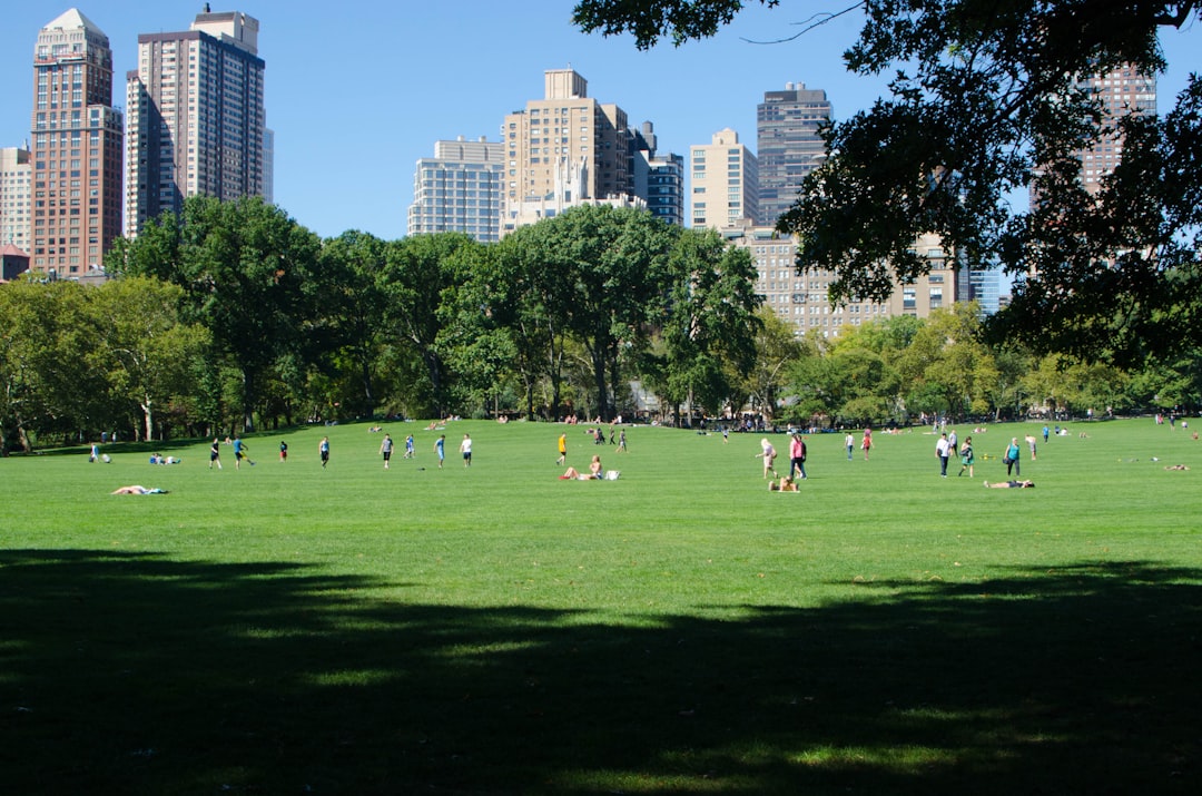 I Gate di Christo e Jeanne-Claude a Central Park - New York | Secret World Trip Planner