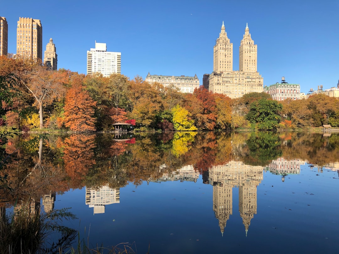 I Gate di Christo e Jeanne-Claude a Central Park - New York | Secret World Trip Planner