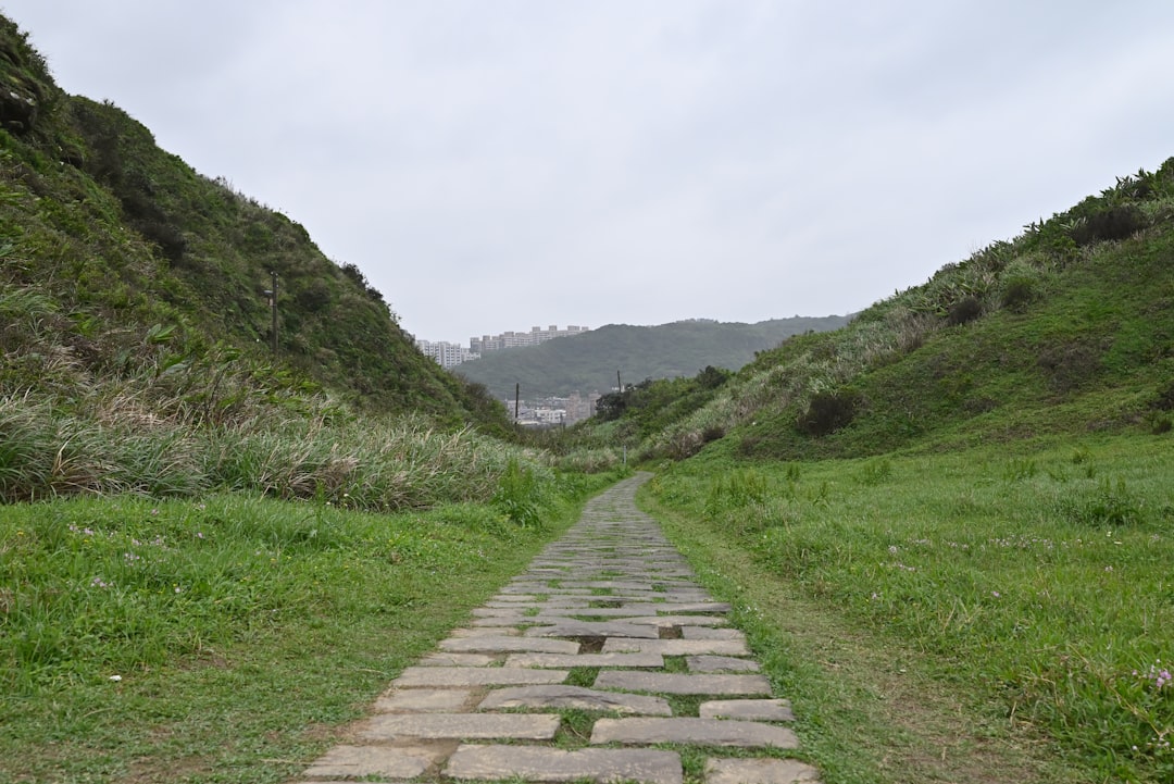 Der Pfad des Riesen: Kunst und Natur in Harmonie - 44 Causeway Rd | Secret World Trip Planner