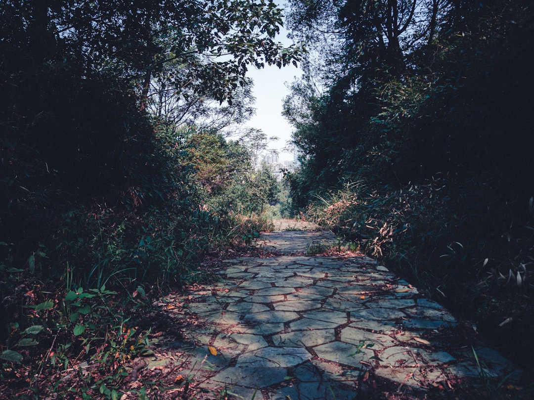 O Caminho do Gigante: Arte e Natureza em Harmonia - 44 Causeway Rd | Secret World Trip Planner